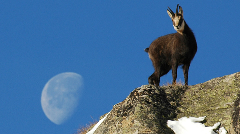 Fondation Grand Paradis_alta definizione