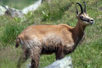 Foto Massimo Re Calegari