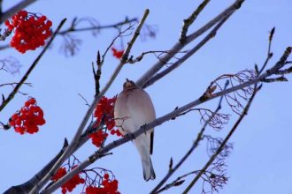 Foto Valentina Giussani - Archivio FGP