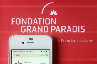 2014-12-30 Applicazione SVAP Bus - Foto Archivio FGP