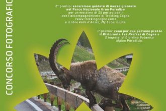 Locandina Concorso_Hors_du_commun