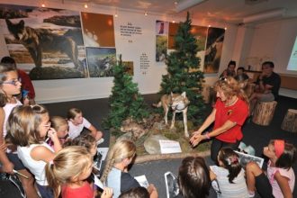 Animazione Lupo - Foto Archivio FGP