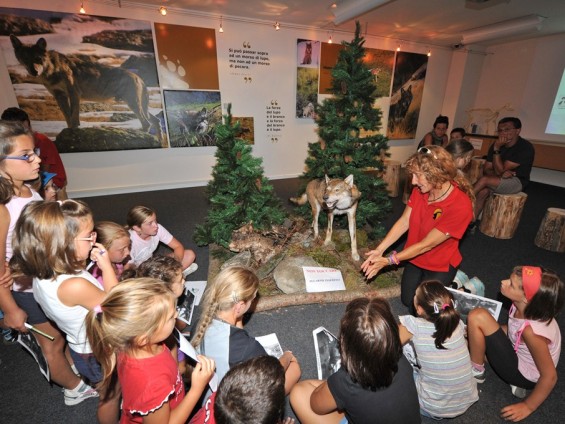 Animazione Lupo - Foto Archivio FGP