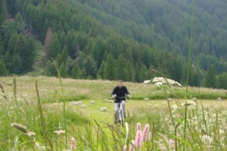 Bicicletta - Foto Archivio FGP