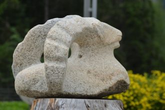 Bouquetin - Foto Archivio FGP