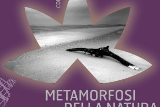 Concorso fotografico Metamorfosi della Natura