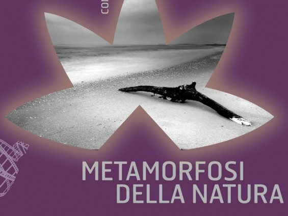 Concorso fotografico Metamorfosi della Natura