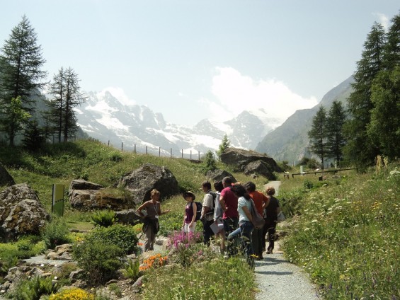 Floralpe - Foto Archivio FGP