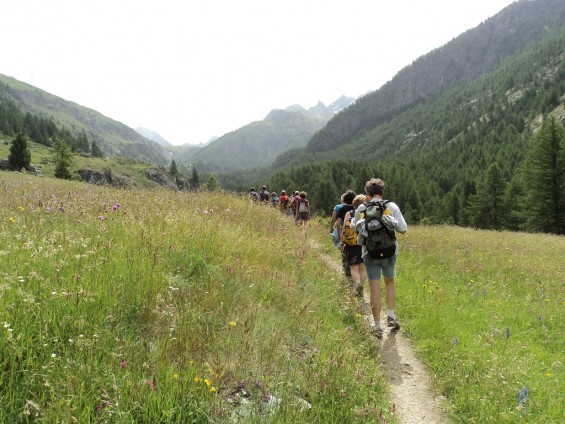 Floralpe - Foto Archivio FGP