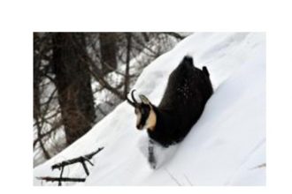 Foto di Dario De Siena - archivio PNGP