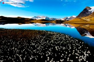 Foto di Luca Fassio - Archivio FGP