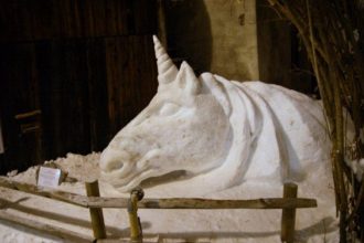 Magico unicorno - Foto Archivio FGP (1)