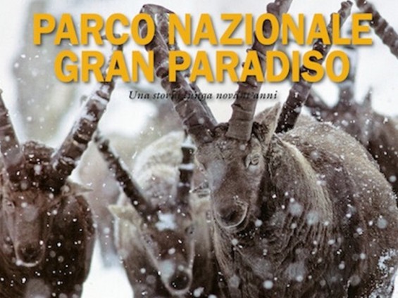 Parco Nazionale Gran Paradiso - Una storia lunga vent'anni.jpg