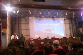 buoncompleannopngp_2012