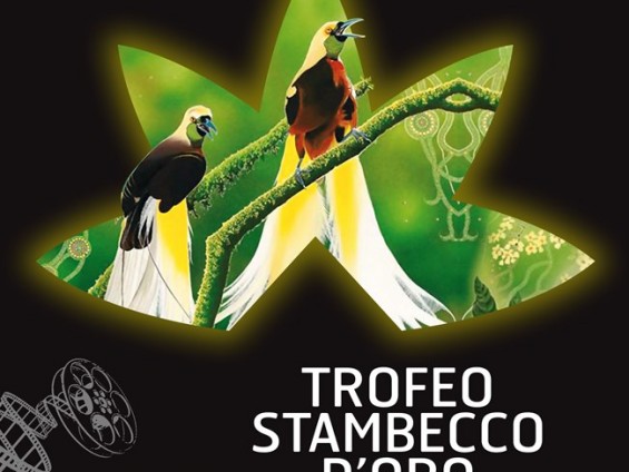 2011-08-22-27 XV STAMBECCO D'ORO