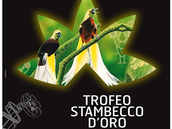 2011-08-22-27 XV STAMBECCO D'ORO