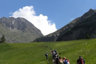 Floralpe_2010 - Foto Archivio FGP