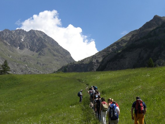 Floralpe_2010 - Foto Archivio FGP