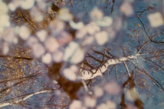 Foto di Louis Bochet - 1° premio Dans les yeux, dans les eaux - Archivio FGP