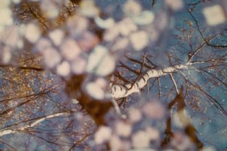 Foto di Louis Bochet - 1° premio Dans les yeux, dans les eaux - Archivio FGP