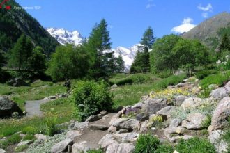 Giardino Botanico Alpino Paradisia -roccera -Foto Archivio FGP