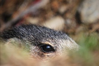Foto di Laura Mori - Primi nuovi sguardi accorti - 1° premio