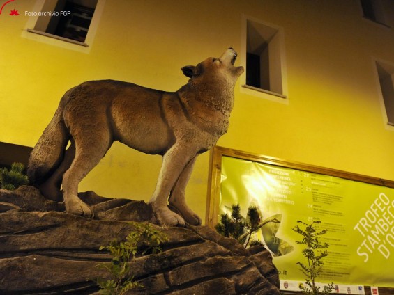 Tutto pronto per il gran finale del XV Trofeo Stambecco d’Oro - Foto Archivio FGP