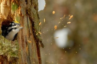 WorkinprogressdiVittorioRicci0