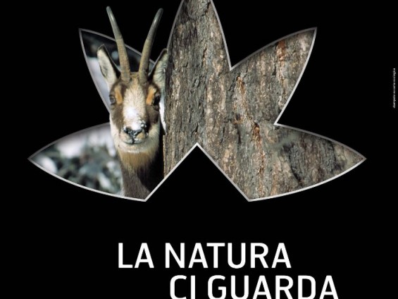 lanaturaciguarda_def_web - Foto archivio FGP