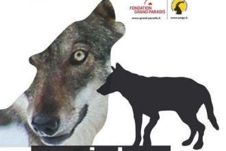 locandina lupo - copia