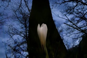 Opposti di Tiziana Dalla Zanna - primo premio - Foto Archivio FGP