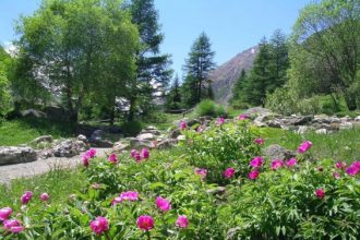 Foto archivio Parco Nazionale Gran Paradiso