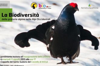Invito - Mostra biodiversità