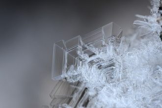 Foto Marcella Ballara - Archivio FGP