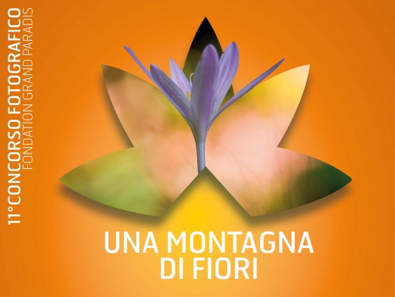 Una-montagna-di-fiori-per sito News