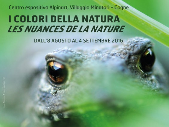 I-colori-della-natura--2