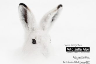 2012-12-22-mostra-vita-sulle-alpi