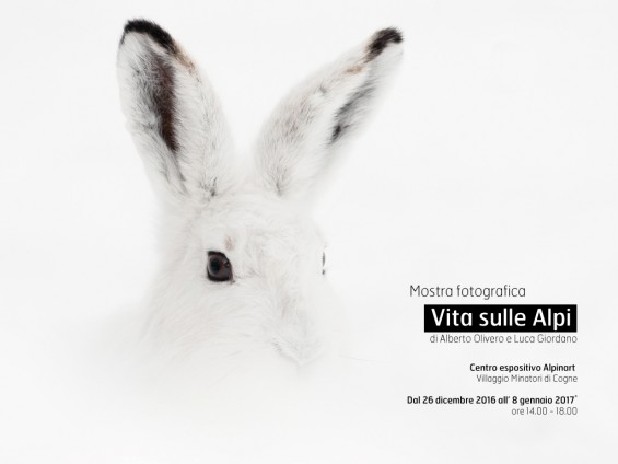2012-12-22-mostra-vita-sulle-alpi