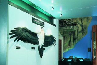 CV-Rhemes-Notre-Dame_interno---Foto-Archivio-FGP-(2)-ridotta