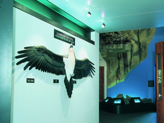 CV-Rhemes-Notre-Dame_interno---Foto-Archivio-FGP-(2)-ridotta