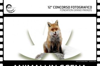 Concorso-fotografico-Animali-in-scena-1024x768