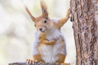 1° posto Alfonso Roberto Apicella