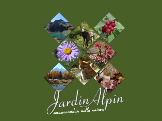jardin-alpin-news