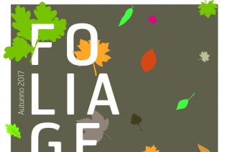 2017-09-18 Foliage del gran paradiso 2017-01