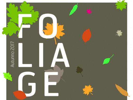 2017-09-18 Foliage del gran paradiso 2017-01