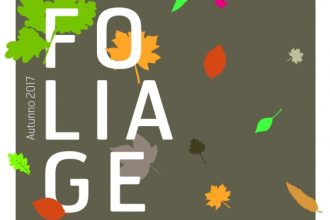 2017-09-18 Foliage del gran paradiso 2017-01