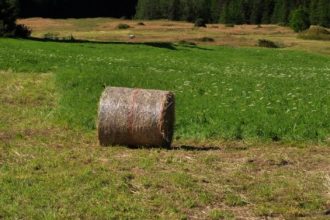 Prati_di_Sant’Orso_Alberto Panzani - con nome