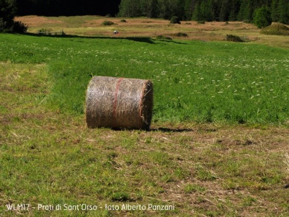 Prati_di_Sant’Orso_Alberto Panzani - con nome