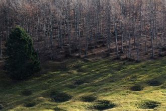 Foto-Antonio-Cunico---Archivio-FGP-ok