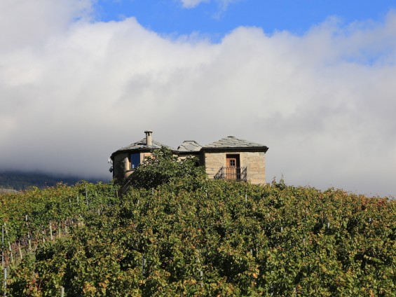 2018-09-26 Grivola-SONO